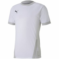 Pánský fotbalový dres Puma teamGOAL 23 bílý2