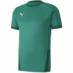 Pánský fotbalový dres Puma teamGOAL 23 zelený