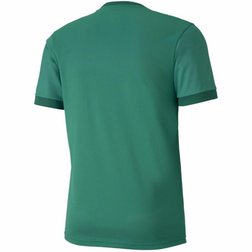 Pánský fotbalový dres Puma teamGOAL 23 zelený