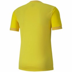 Pánský fotbalový dres Puma teamGOAL 23 žlutý