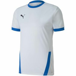 Pánský fotbalový dres Puma teamGOAL 23 bílý