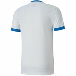 Pánský fotbalový dres Puma teamGOAL 23 bílý