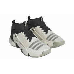 Pánské basketbalové boty Adidas Trae Unlimited bílo-černé